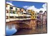 Ponte Vecchio and Arno River, Florence, Tuscany, Italy-Miva Stock-Mounted Photographic Print