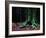 Ponthus Beech 2-Philippe Manguin-Framed Photographic Print