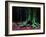 Ponthus Beech 2-Philippe Manguin-Framed Photographic Print