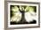 Ponthus Beech 2-Philippe Manguin-Framed Photographic Print