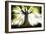 Ponthus Beech 2-Philippe Manguin-Framed Photographic Print