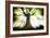 Ponthus Beech 2-Philippe Manguin-Framed Photographic Print