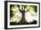 Ponthus Beech 2-Philippe Manguin-Framed Photographic Print