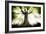 Ponthus Beech 2-Philippe Manguin-Framed Photographic Print