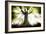 Ponthus Beech 2-Philippe Manguin-Framed Photographic Print