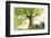 Ponthus beech tree-Philippe Manguin-Framed Photographic Print