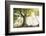 Ponthus old beech 2-Philippe Manguin-Framed Photographic Print