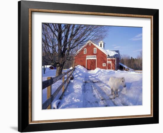 Pony and Barn near the Lamprey River in Winter, New Hampshire, USA-Jerry & Marcy Monkman-Framed Photographic Print