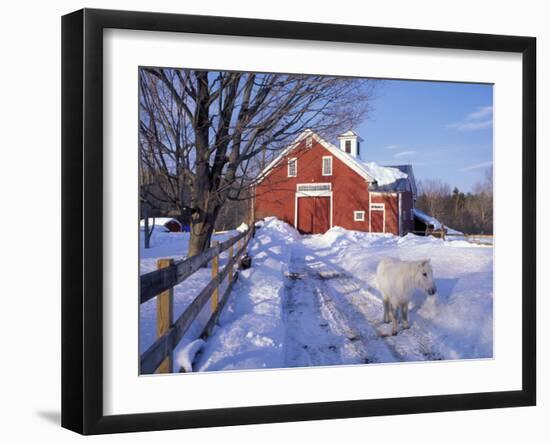 Pony and Barn near the Lamprey River in Winter, New Hampshire, USA-Jerry & Marcy Monkman-Framed Photographic Print