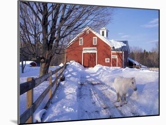 Pony and Barn near the Lamprey River in Winter, New Hampshire, USA-Jerry & Marcy Monkman-Mounted Photographic Print
