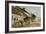 Pony and Cart-Joseph Crawhall-Framed Giclee Print