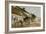 Pony and Cart-Joseph Crawhall-Framed Giclee Print