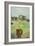 Pony in the Farm Meadow, East Green, 1980-Brenda Brin Booker-Framed Giclee Print