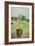 Pony in the Farm Meadow, East Green, 1980-Brenda Brin Booker-Framed Giclee Print