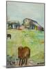 Pony in the Farm Meadow, East Green, 1980-Brenda Brin Booker-Mounted Giclee Print