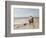 Pony Ride on the Beach-Heywood Hardy-Framed Giclee Print