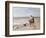 Pony Ride on the Beach-Heywood Hardy-Framed Giclee Print