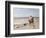 Pony Ride on the Beach-Heywood Hardy-Framed Giclee Print