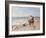 Pony Ride on the Beach-Heywood Hardy-Framed Giclee Print