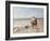 Pony Ride on the Beach-Heywood Hardy-Framed Giclee Print