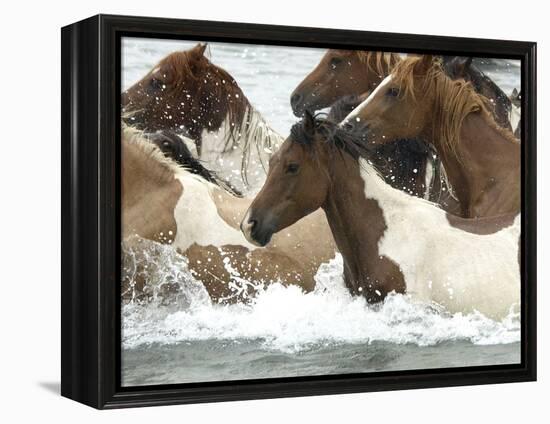 Pony Swim-Scott Neville-Framed Premier Image Canvas