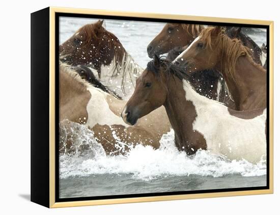 Pony Swim-Scott Neville-Framed Premier Image Canvas