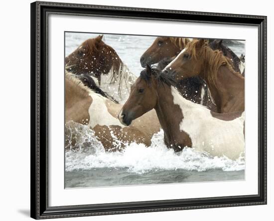 Pony Swim-Scott Neville-Framed Photographic Print