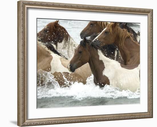 Pony Swim-Scott Neville-Framed Photographic Print