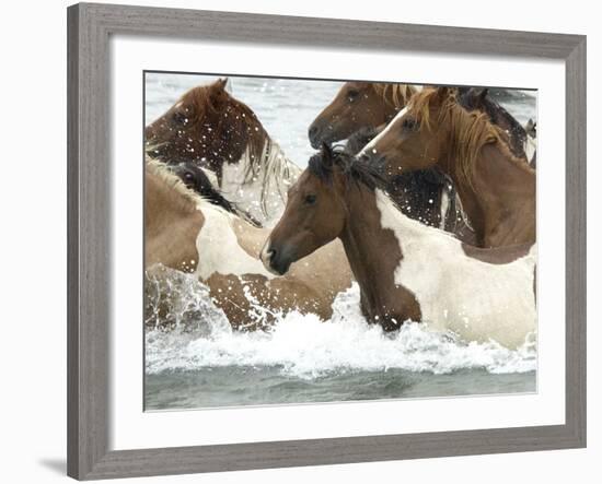 Pony Swim-Scott Neville-Framed Photographic Print