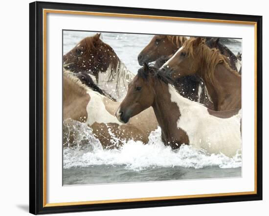 Pony Swim-Scott Neville-Framed Photographic Print