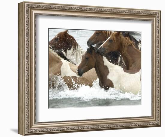 Pony Swim-Scott Neville-Framed Photographic Print