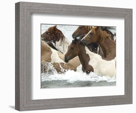 Pony Swim-Scott Neville-Framed Photographic Print