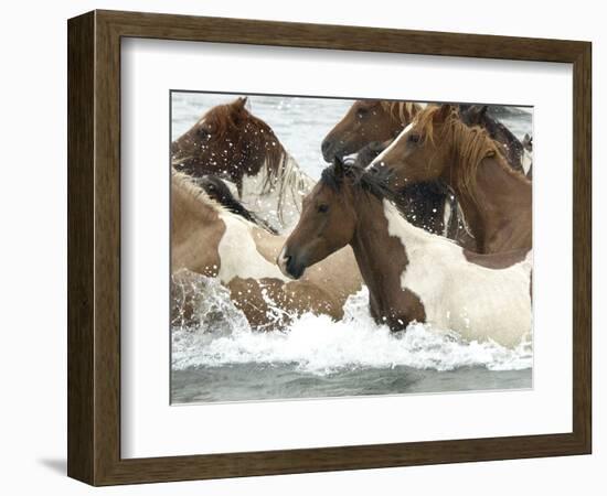 Pony Swim-Scott Neville-Framed Photographic Print