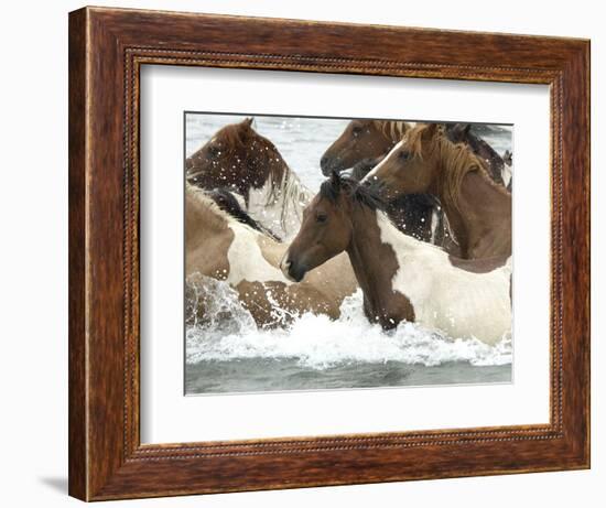 Pony Swim-Scott Neville-Framed Photographic Print