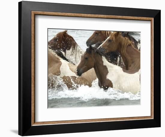 Pony Swim-Scott Neville-Framed Photographic Print