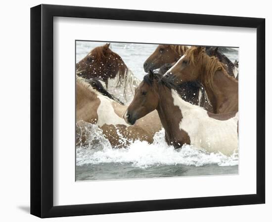 Pony Swim-Scott Neville-Framed Photographic Print