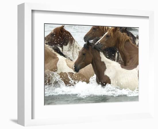 Pony Swim-Scott Neville-Framed Photographic Print