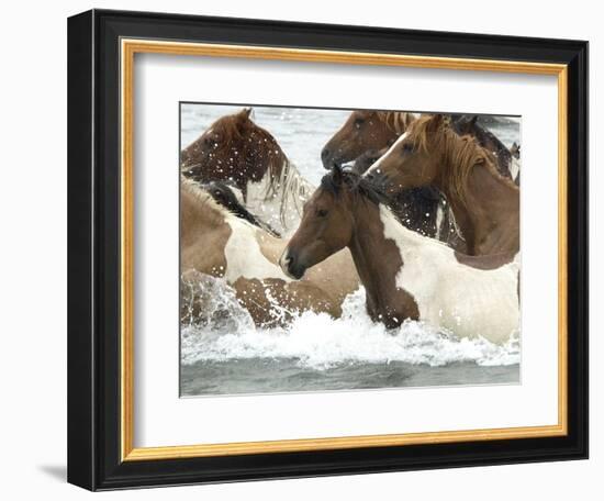 Pony Swim-Scott Neville-Framed Photographic Print