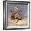 Pony War Dance-Frederic Sackrider Remington-Framed Giclee Print