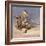 Pony War Dance-Frederic Sackrider Remington-Framed Giclee Print