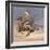 Pony War Dance-Frederic Sackrider Remington-Framed Giclee Print