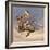 Pony War Dance-Frederic Sackrider Remington-Framed Giclee Print