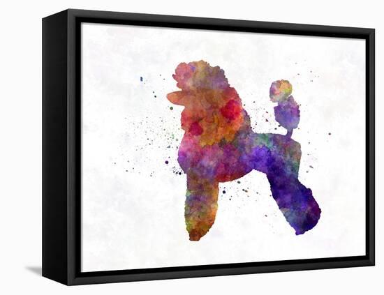 Poodle 02 in Watercolor-paulrommer-Framed Stretched Canvas