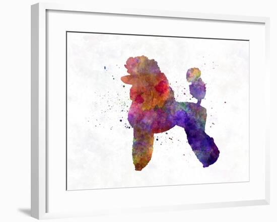 Poodle 02 in Watercolor-paulrommer-Framed Art Print