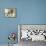 Poodle Dog-Lanre Adefioye-Framed Premier Image Canvas displayed on a wall