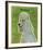 Poodle (grey)-John W^ Golden-Framed Art Print