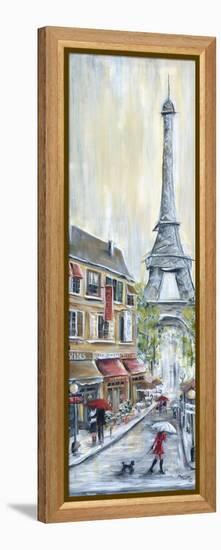 Poodle in Paris-Marilyn Dunlap-Framed Stretched Canvas