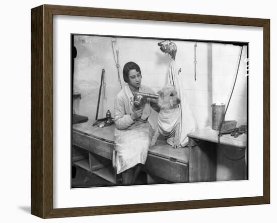 Poodle Parlour 1930s-null-Framed Photographic Print