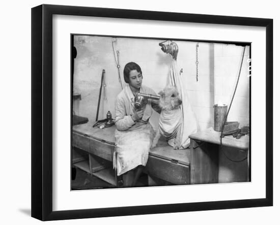 Poodle Parlour 1930s-null-Framed Photographic Print