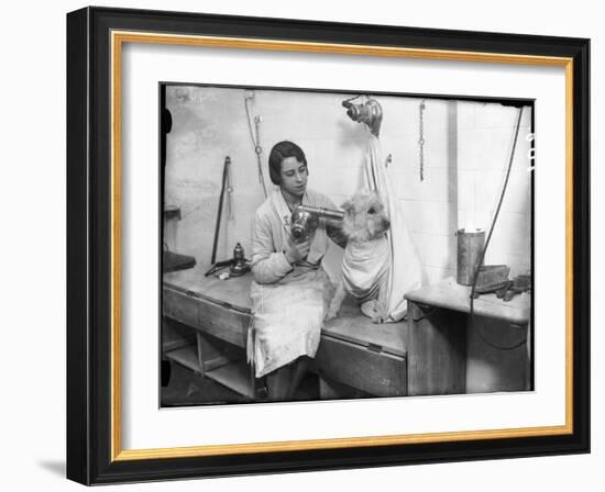 Poodle Parlour 1930s-null-Framed Photographic Print